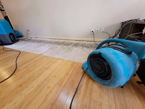 Professional Water Damage Repair technician working in Carroll, OH